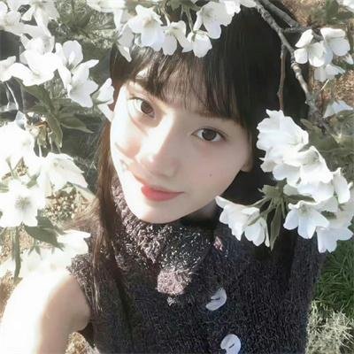 她和她的她海报